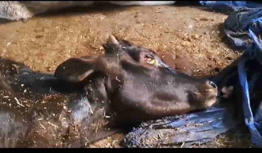 c1_20240124_23132607