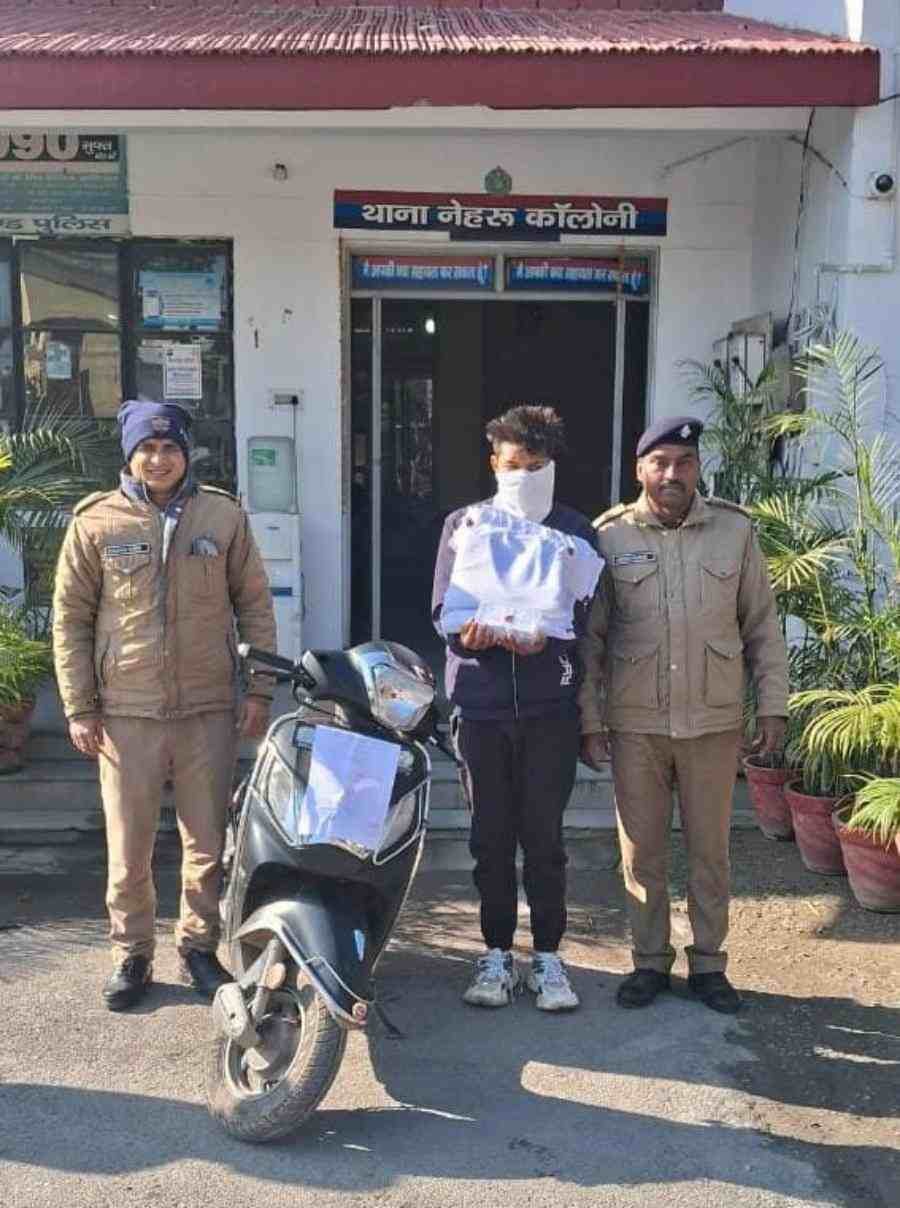 c1_20240207_11523959