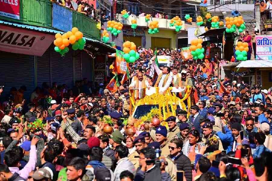 c1_20240211_22143693