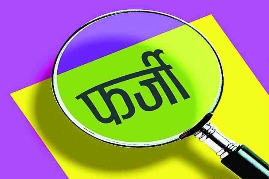 c1_20240215_22583825