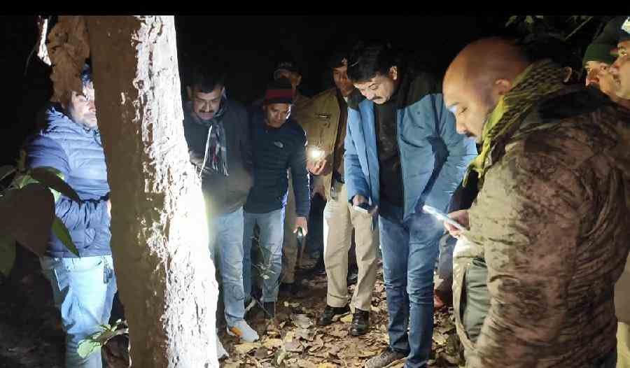 c1_20240224_11333216