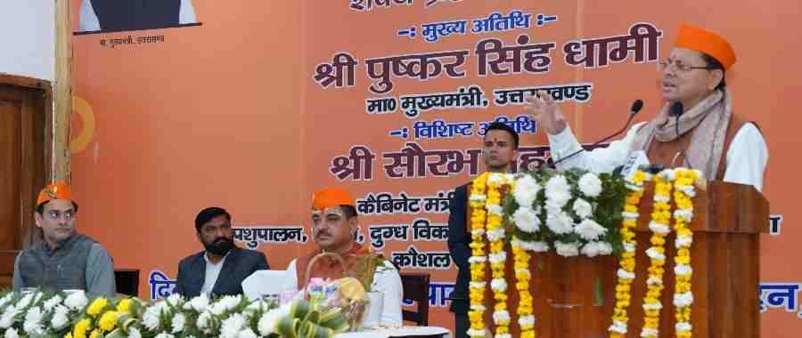 c1_20240225_23101182