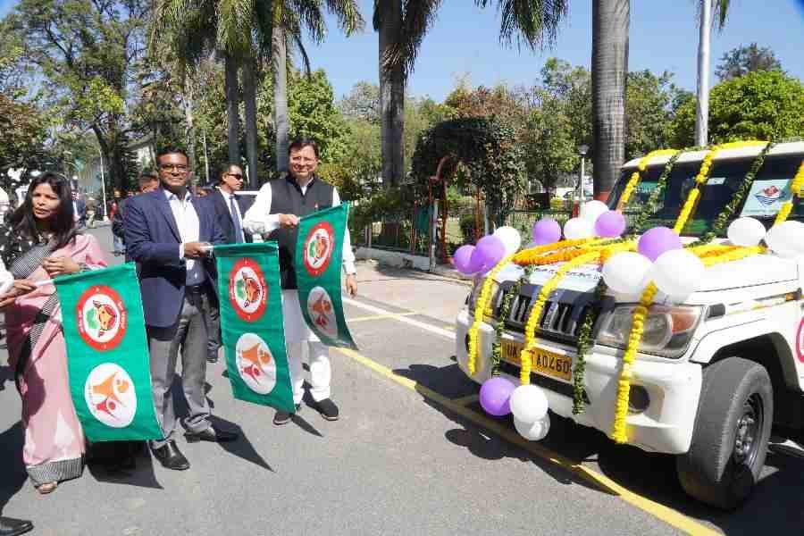 c1_20240309_22450736