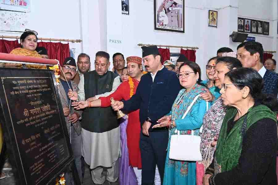 c1_20240313_21370293