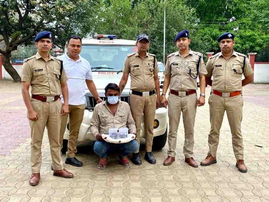 c1_20240414_20552113