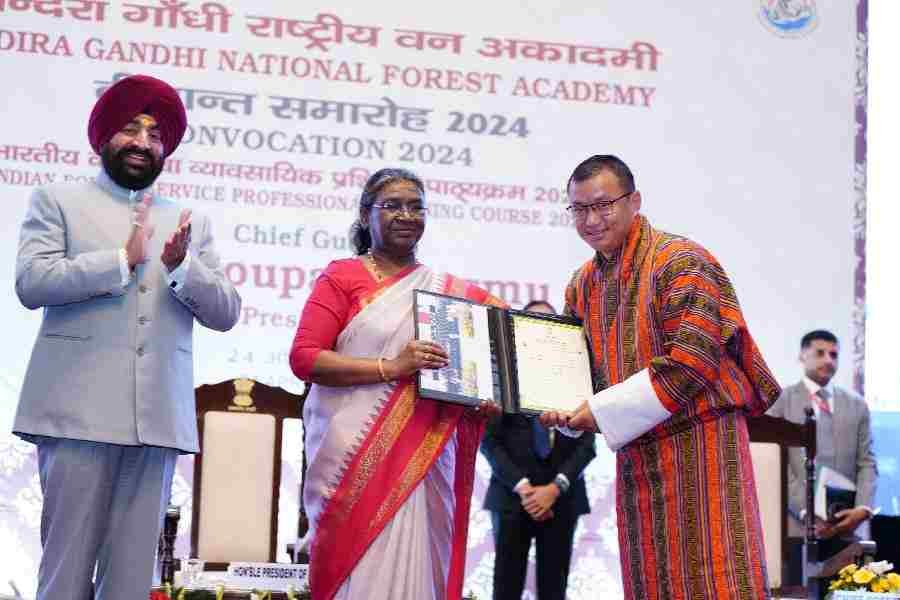 c1_20240424_21445033