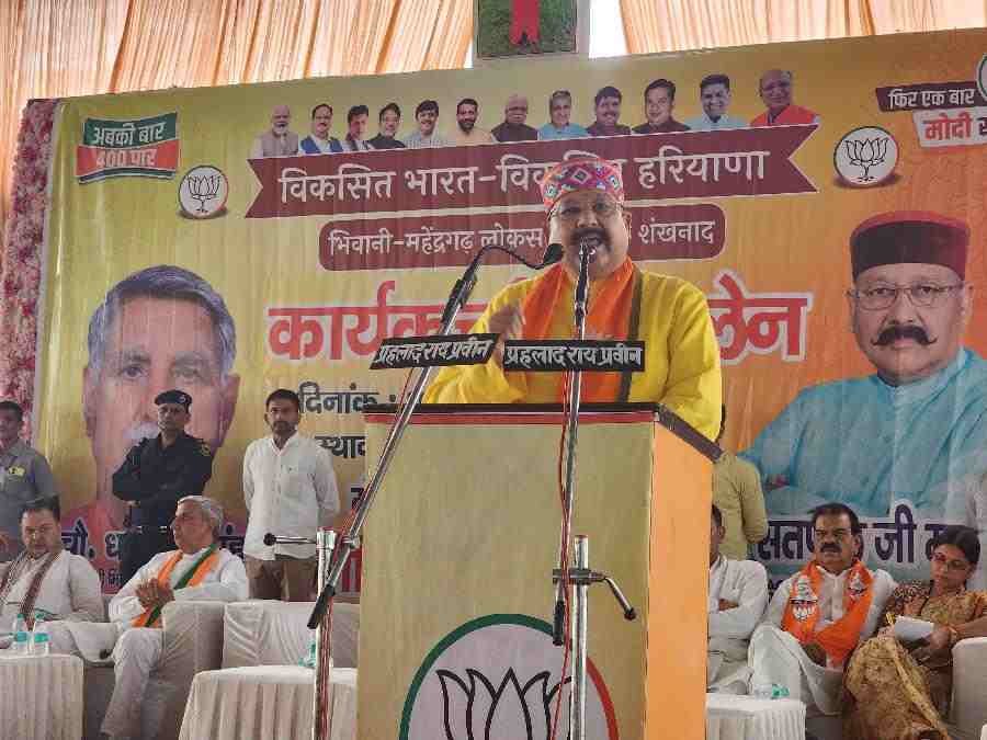 c1_20240521_17305040