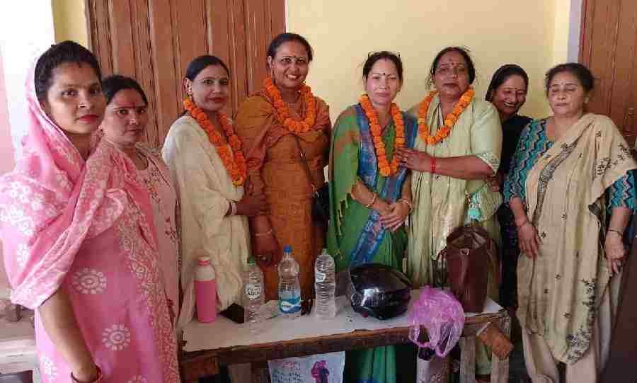 c1_20240523_22132778