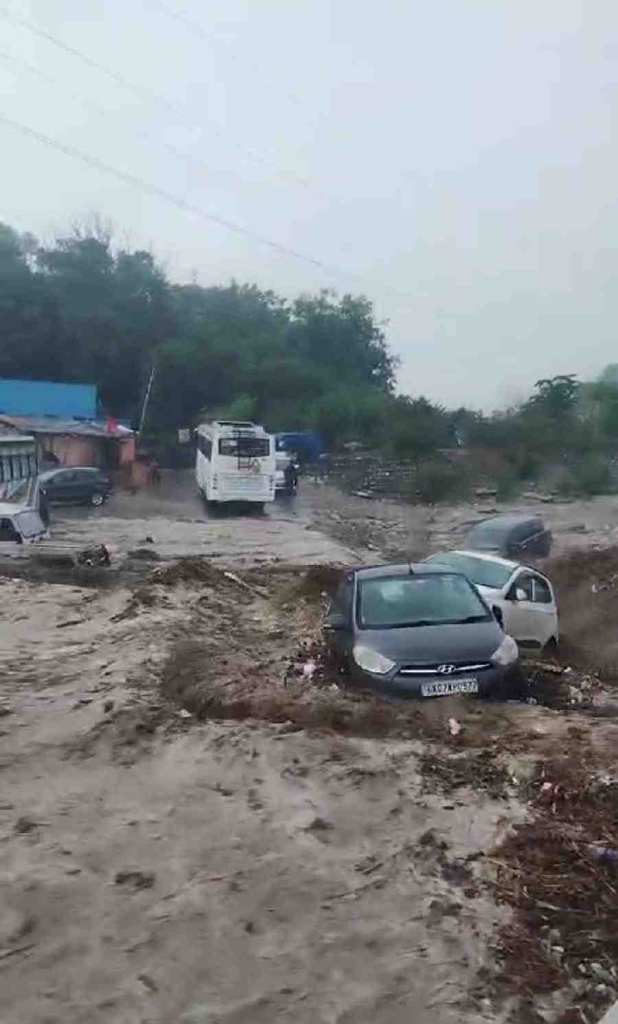 c1_20240629_21584855