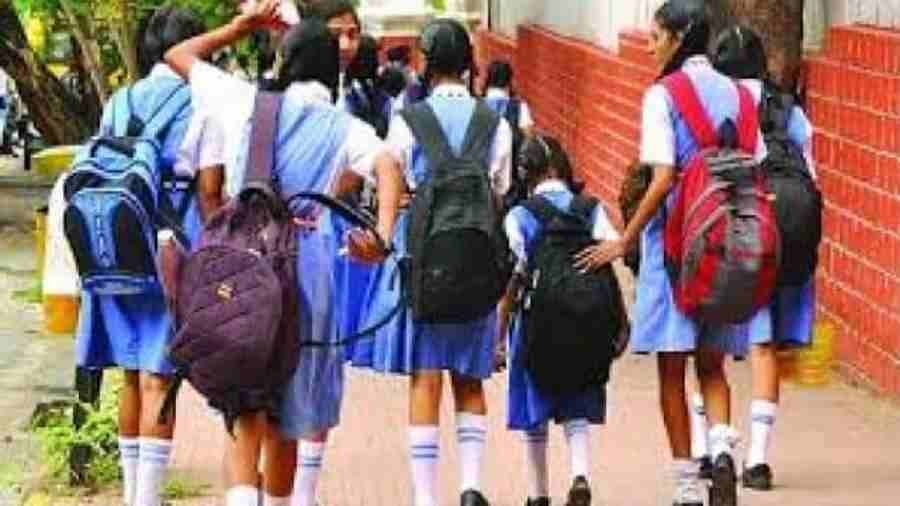 c1_20230709_19134894