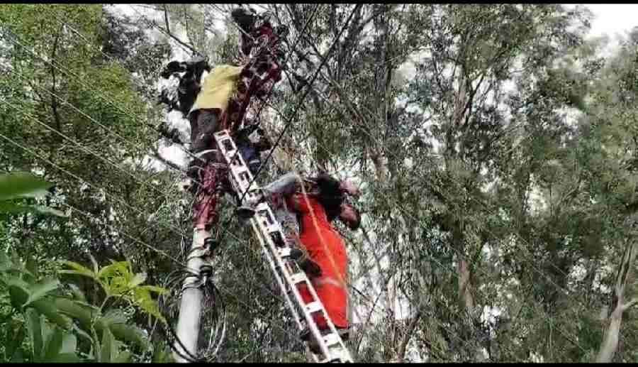 c1_20240704_22115148