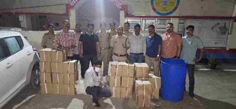 c1_20240824_22213625