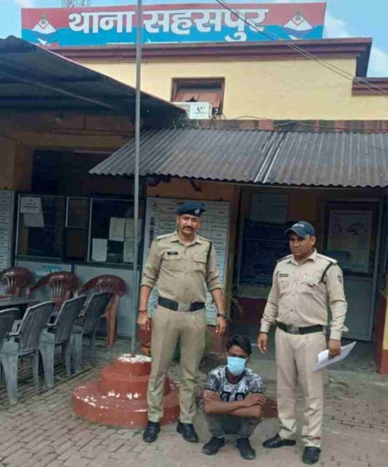 c1_20240830_21455729