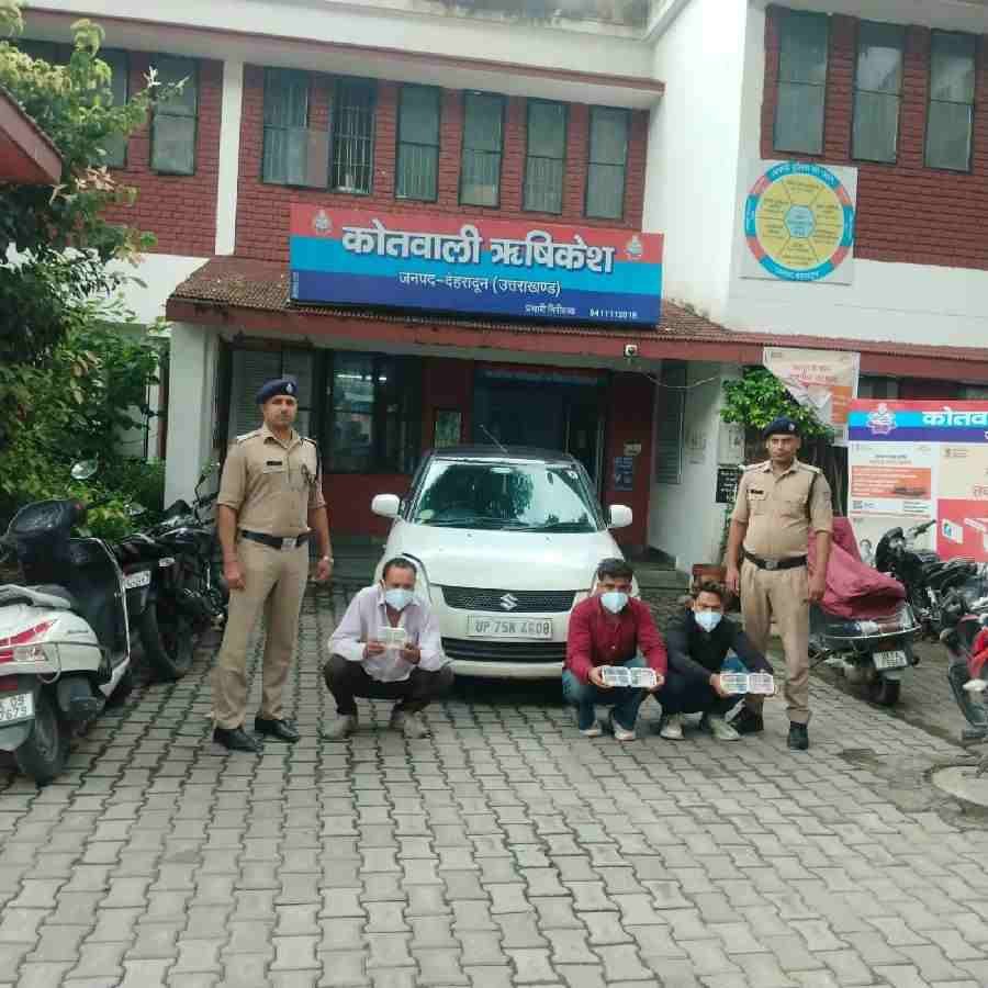 c1_20240914_23484829