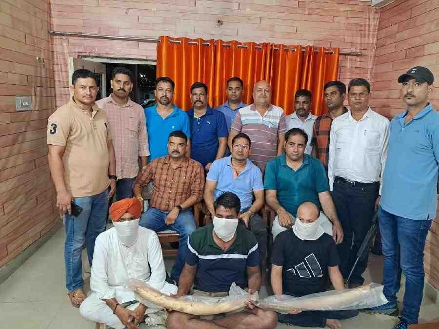 c1_20240917_23411880