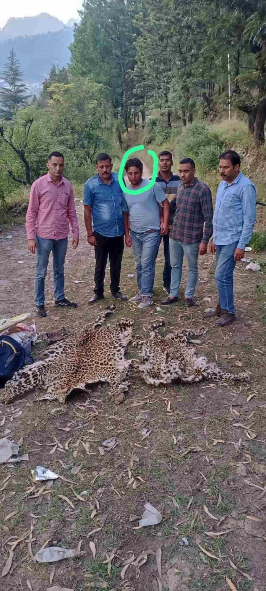 c1_20241009_23580510