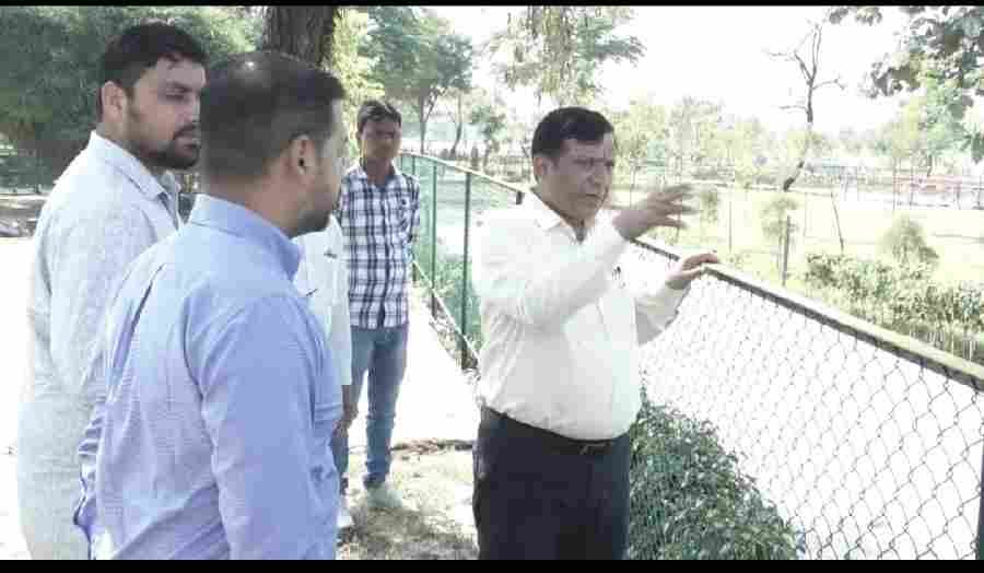 c1_20241010_18523073