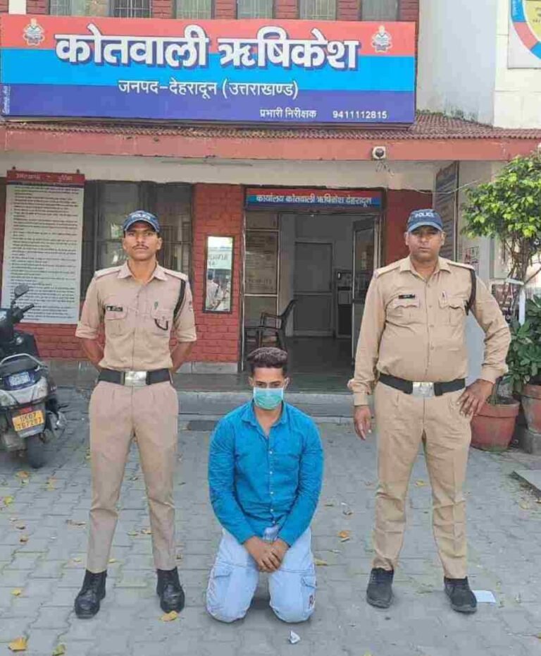 c1_20241012_22284445