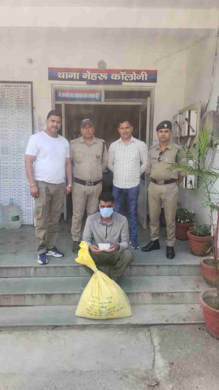 c1_20241016_22545786