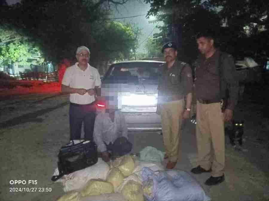 c1_20241028_15011256