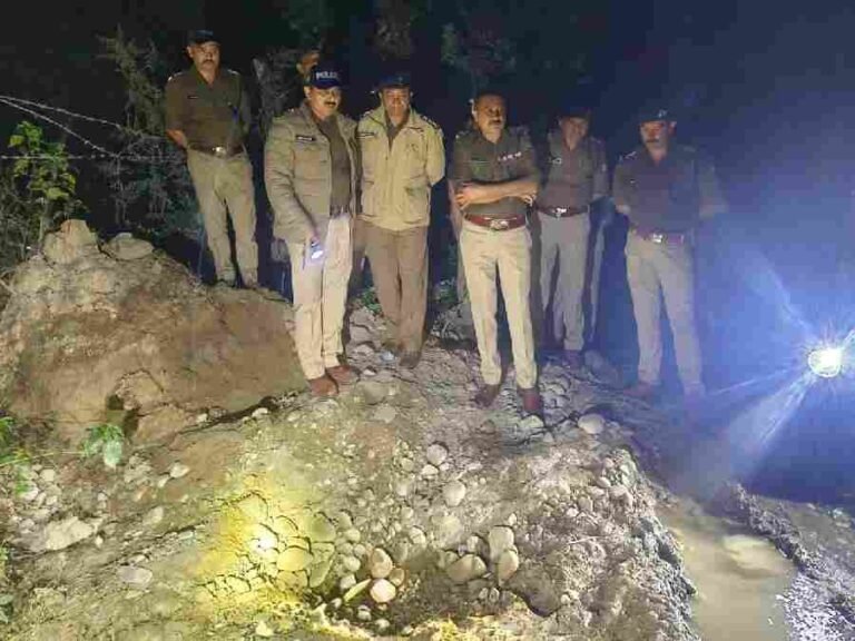 c1_20241103_00392619