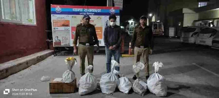 c1_20241103_22253741