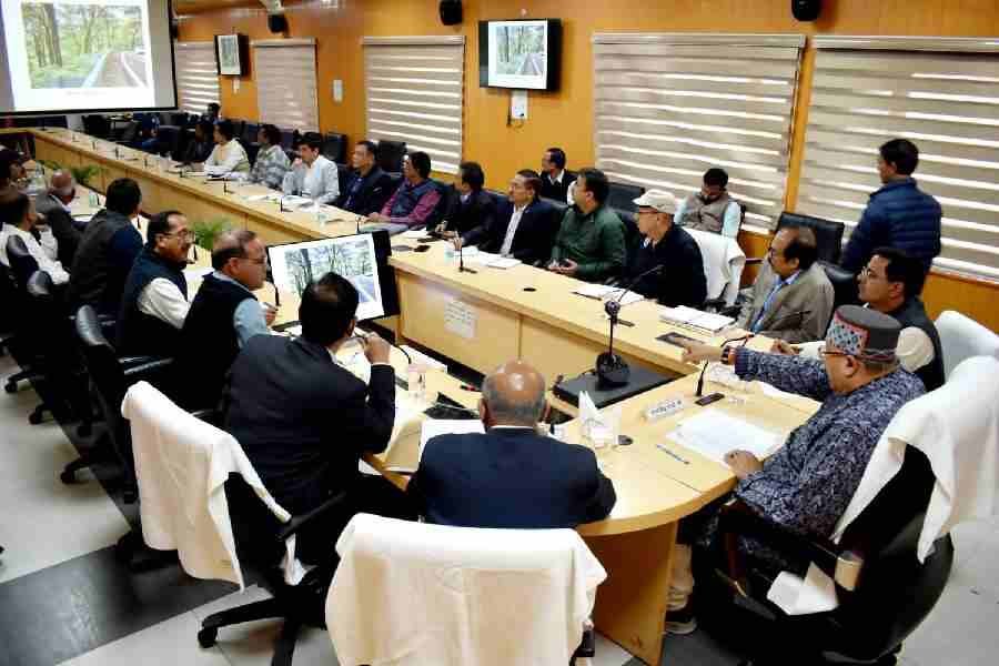 c1_20241120_21390859