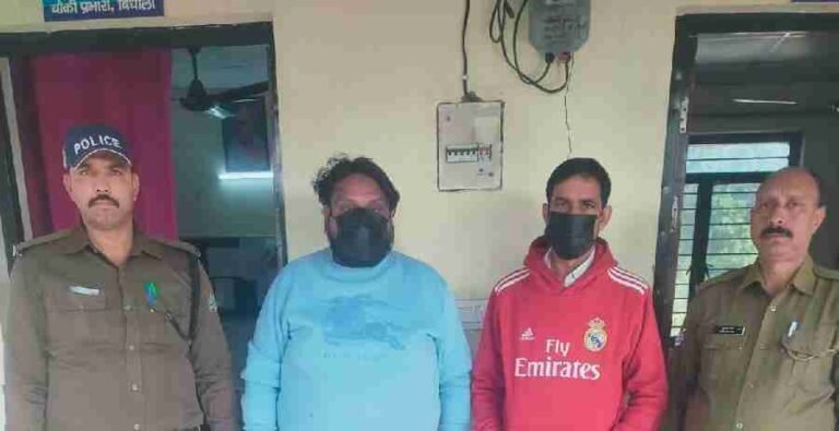 c1_20241121_21423365