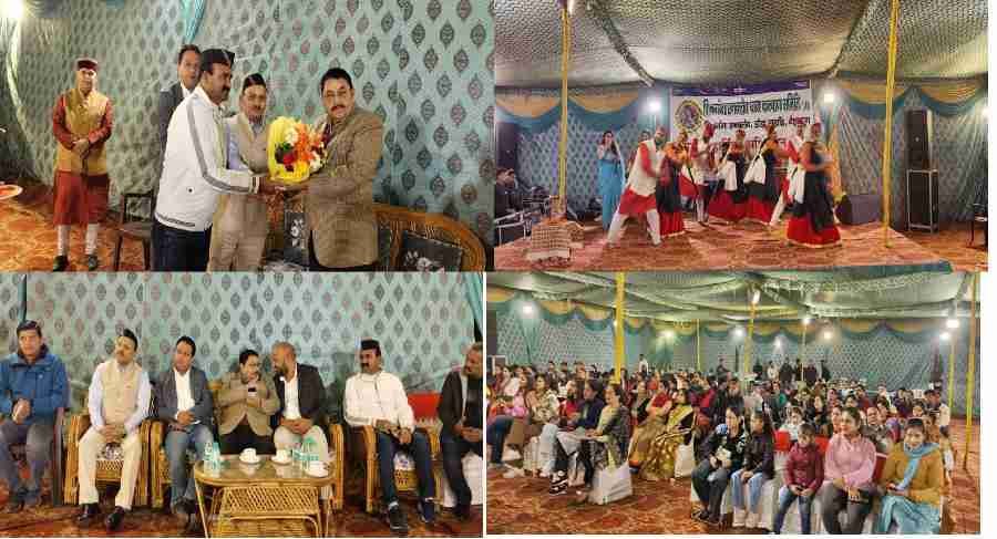 c1_20241125_22114381