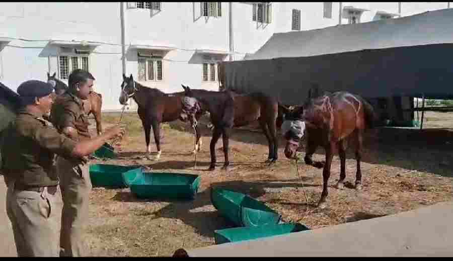 c1_20241129_21461348