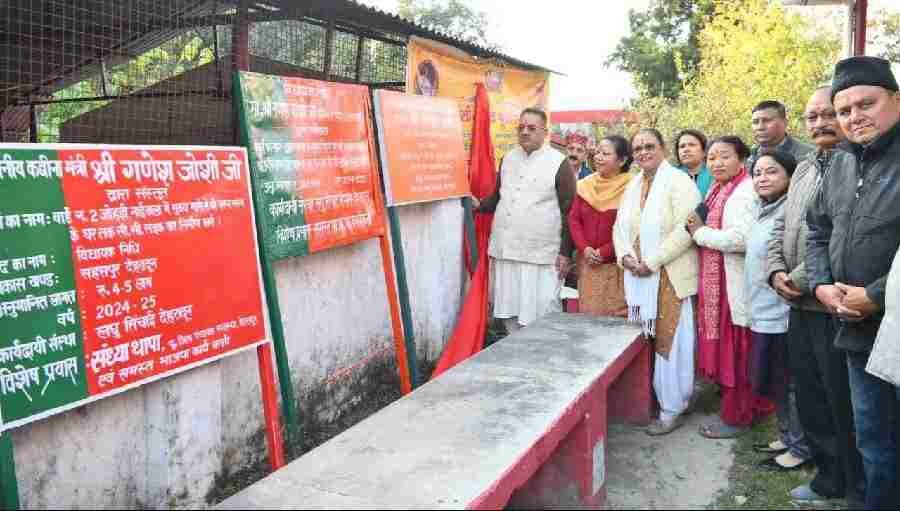 c1_20241205_21355587