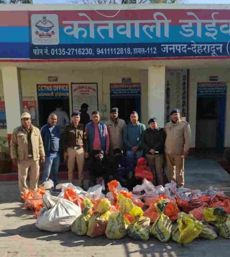 c1_20241212_23421516