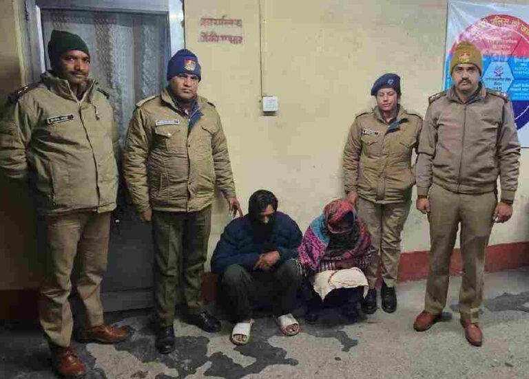 c1_20241216_22535469