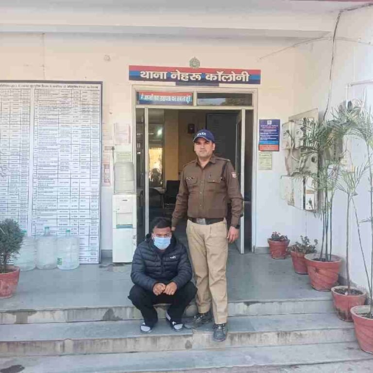 c1_20241221_22163693