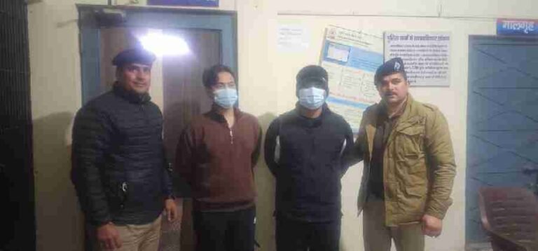 c1_20241229_23234695