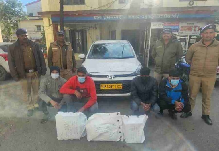 c1_20250105_23450908