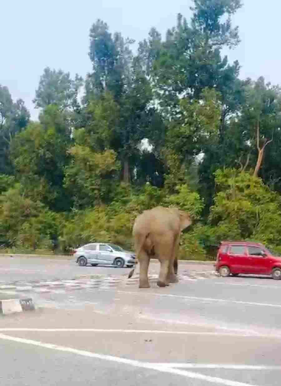 c1_20250108_22462279