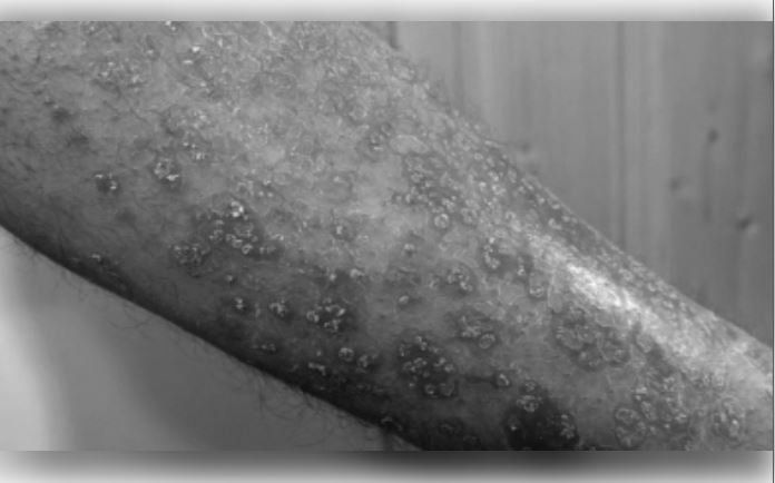 07-75-1748082087-724203-khaskhabar