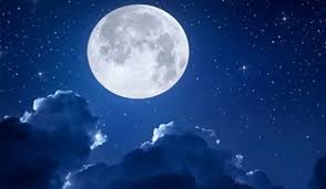 images - 2025-12-28T151223.871