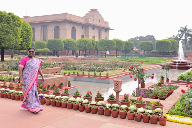 2c2127a96bd78a7e2210020844ff5557