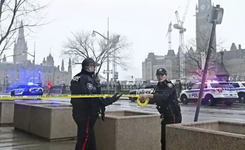 847e0c4a41378f44513178ee1b33cb75 (1)