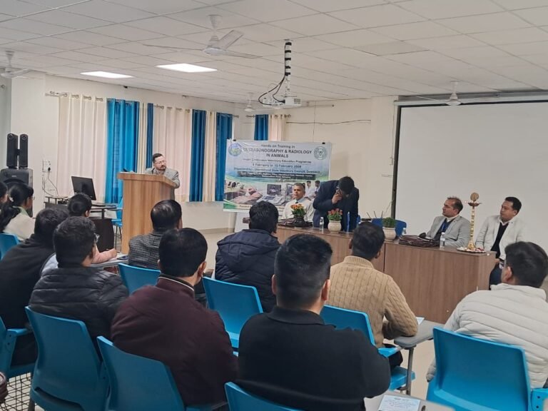 WhatsApp Image 2026-02-09 at 5.53.33 PM