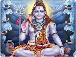 images - 2026-02-02T114809.638