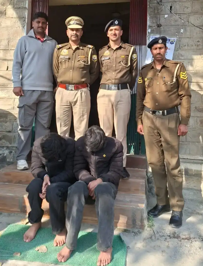 e8e4d46af072ce05f54969d38fa2d409