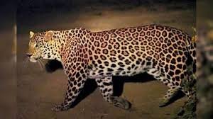 images - 2026-03-15T151351.876